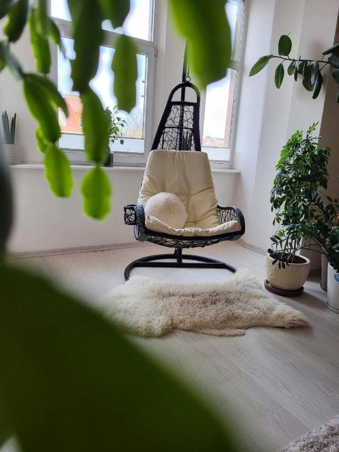 Cozy 2 Room Apartment In The Oldtown Of Klaipėda Eksteriør bilde